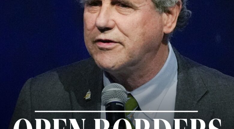 openbordersbrown